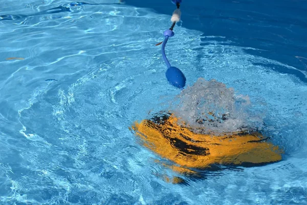 Robot nettoyage piscine professionnel Dolphin Maytronics Lille Nord Pas-de-Calais
